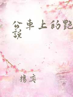 公车上的艳遇小说