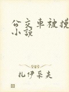 公交车被摸出水小说