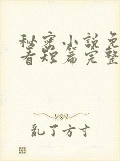 秘密小说免费观看短篇完整版