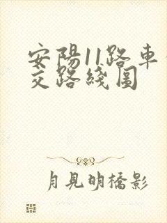 安阳11路车公交路线图