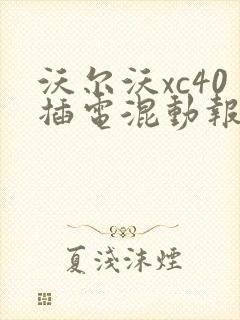 沃尔沃xc40插电混动报价