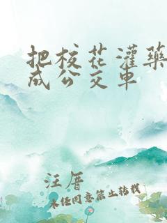 把校花灌药调教成公交车