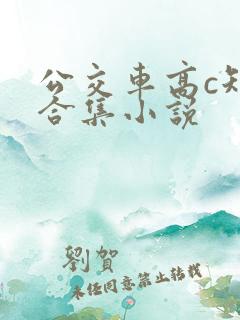 公交车高c短篇合集小说