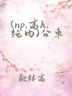 (np,高h,纯肉)公车