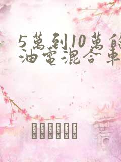 5万到10万的油电混合车自动挡