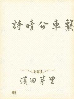 诗晴公车系列