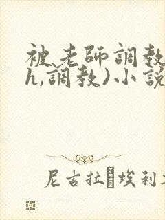 被老师调教(高h,调教)小说