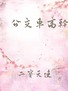 公交车高干小说