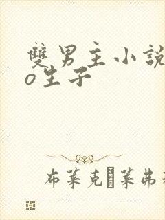 双男主小说abo生子