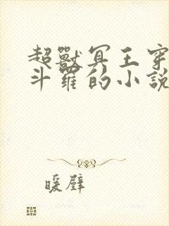 超兽冥王穿越到斗罗的小说