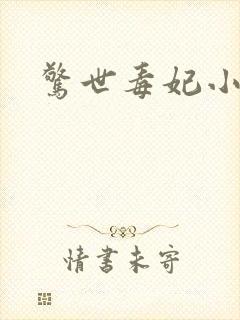 惊世毒妃小说