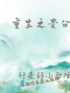 重生之贵公子