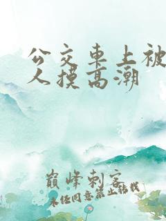 公交车上被陌生人摸高潮