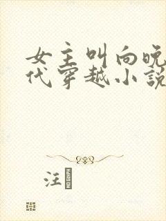 女主叫向晚的古代穿越小说