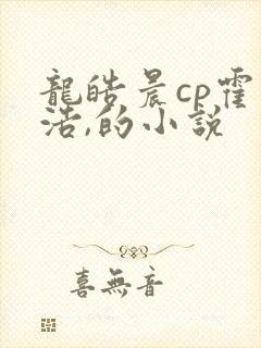 龙皓晨cp霍雨浩,的小说
