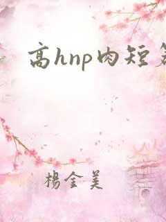 高hnp肉短篇