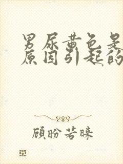 男尿黄色是什么原因引起的
