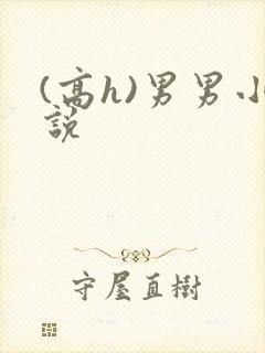 (高h)男男小说