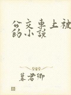 公交车上被玩弄的小说