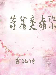 坐公交上班的苏晴杨大明小说免费阅读
