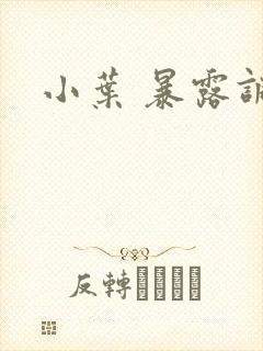 小叶 暴露调教