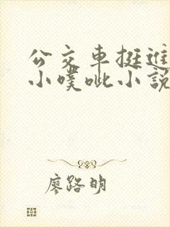 公交车挺进她的小噗呲小说