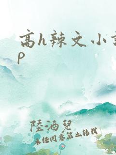 高h辣文小说np