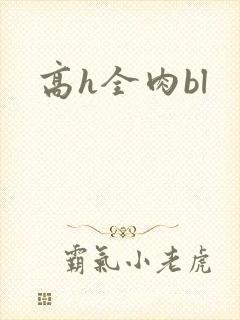 高h全肉bl