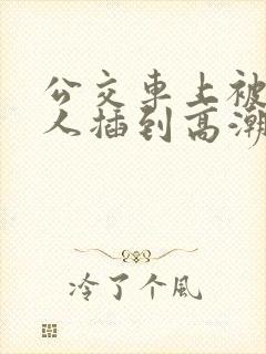 公交车上被陌生人插到高潮