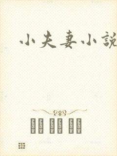 小夫妻小说