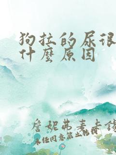 狗拉的尿很黄是什么原因