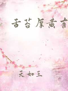 舌苔厚黄有齿痕