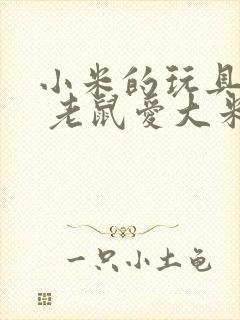 小米的玩具日记 老鼠爱大米