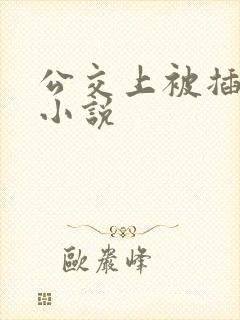 公交上被插高潮小说
