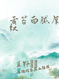 舌苔白腻厚有裂纹