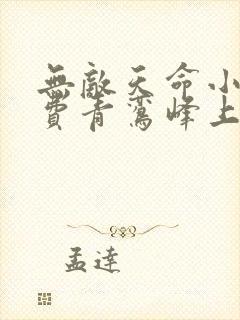 无敌天命小说免费青鸾峰上
