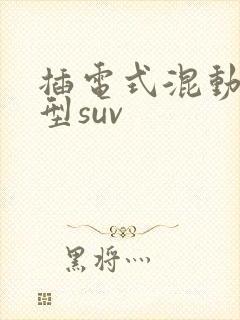 插电式混动中大型suv