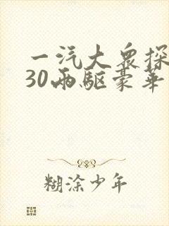 一汽大众探岳330两驱豪华