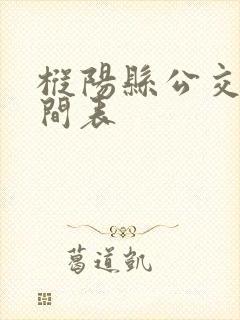 枞阳县公交车时间表