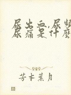 尿出血,尿频,尿痛是什么问题
