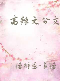 高辣文公交车