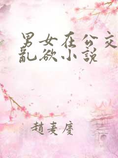 男女在公交车上乱欲小说