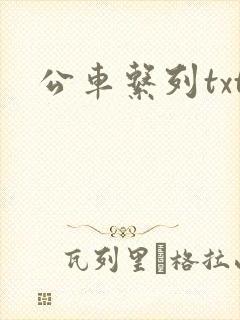 公车系列txt
