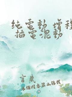 纯电动 增程式 插电混动