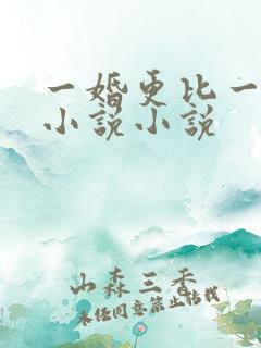 一婚更比一婚高小说小说