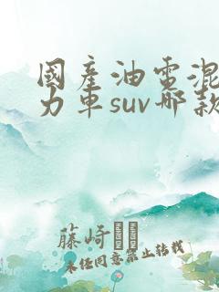 国产油电混合动力车suv哪款最好