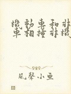 机动车和非机动车相撞非机动车全责