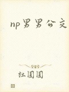 np男男公交车