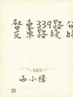 启东339路公交车路线 时间表