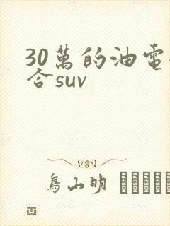 30万的油电混合suv